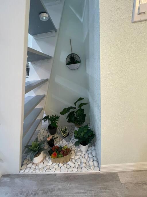 The Tiny Cottage In The Springs/ Central Fl Altamonte Springs Exteriör bild